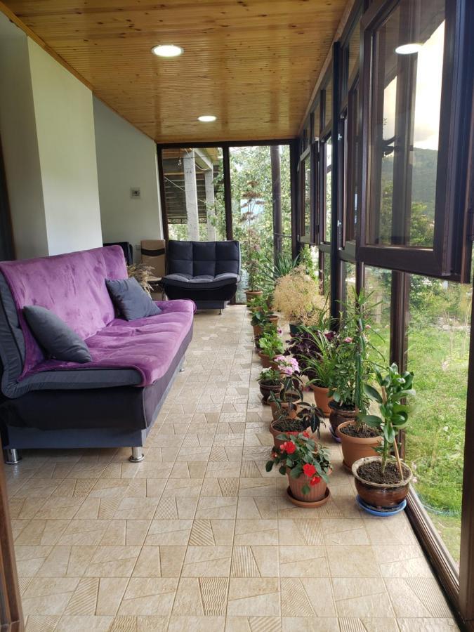 Guest House Nanu Mestia Bagian luar foto